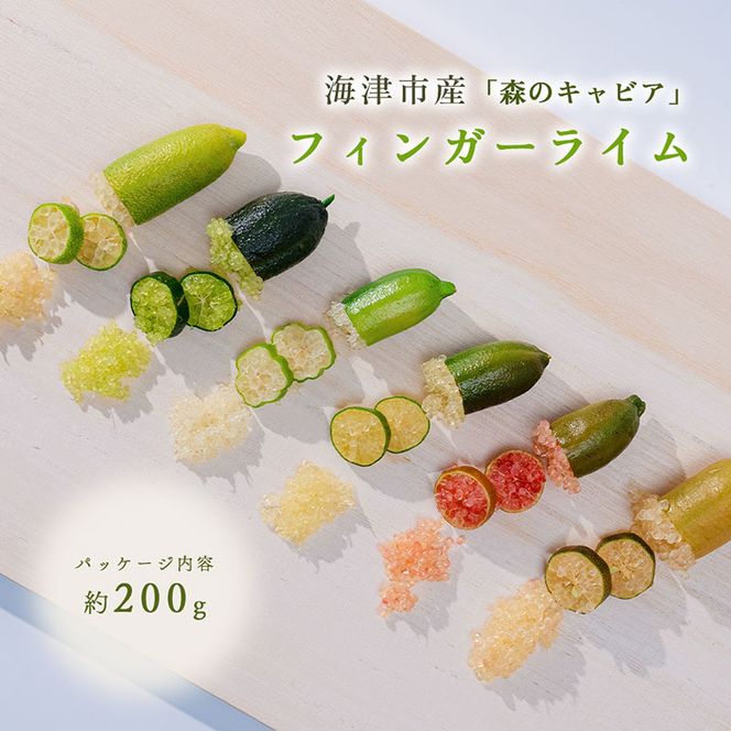 フィンガーライム 200g　フルーツ 果物 森のキャビア キャビアライム フルーツキャビア 岐阜県 海津市