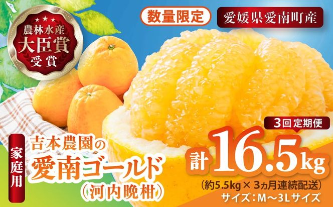 【先行予約】河内晩柑３回お届け定期便／家庭用愛南ゴールド 5.5kg×3回＜柑橘 希少 果物 国産 フルーツ みかん 蜜柑 定期便 家庭用 和製 グレープフルーツ ブランド 果実 ビタミン 愛媛県 鬼北町 ＞ ※2027年4月～発送