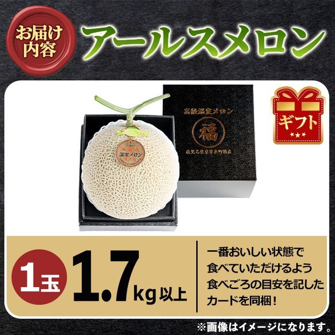 【0151119a】《先行予約受付中！》＜厳選極み＞お正月に食べ頃！マル福の高級アールスメロン(大玉1玉・1.7kg以上) メロン フルーツ 果物 果実 1キロ 数量限定 期間限定 贈答 贈り物 ギフト お正月 謹賀新年 年末 【マル福園芸組合】