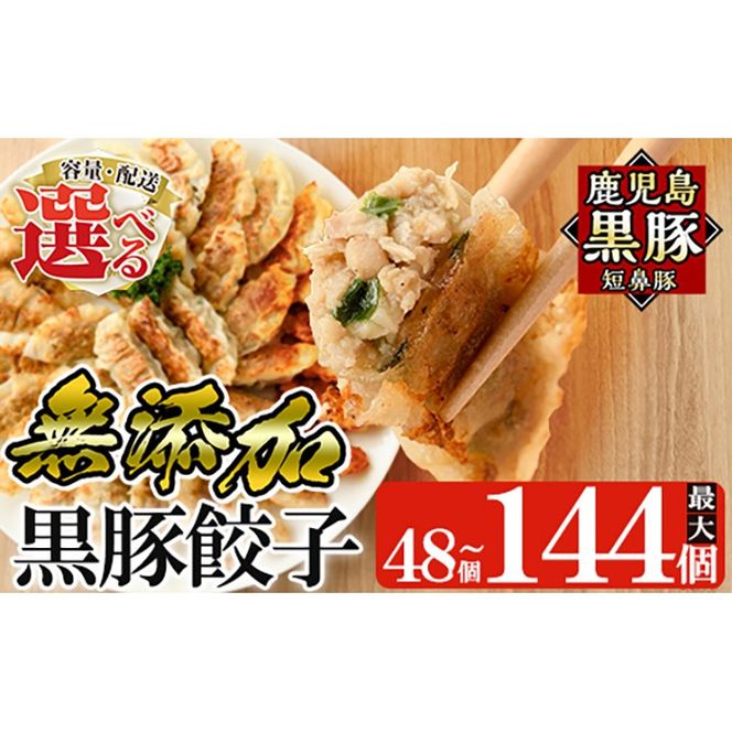 ＜年内発送＞＜容量・定期便が選べる＞鹿児島黒豚「短鼻豚」無添加餃子セット(48個・96個・3回定期便)【鹿児島ますや】姶良市 ギョーザ 餃子 無添加 惣菜 おかず おつまみ 冷凍 黒豚 国産野菜 ぎょうざ a441 a442 a880