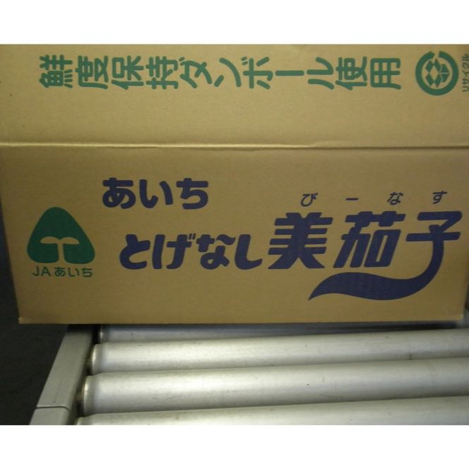 幸田町産「とげなし美茄子」 5kg ｜ なす ナス 茄子 野菜 ※11月～6月に順次発送予定