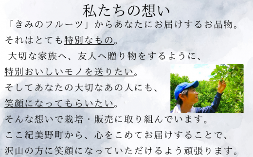 紀州南高梅シロップ　2本セット　化粧箱入り/ウメ 梅ジュース 梅ソーダ ドリンク 【kmf009】