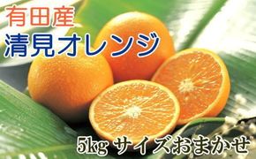 【産直】有田産 清見 オレンジ 5kg（サイズおまかせ・秀品） /果物 くだもの フルーツ 蜜柑 みかん ※2027年3月上旬～3月下旬頃順次発送予定（日付指定不可） 【tec011-r-5】