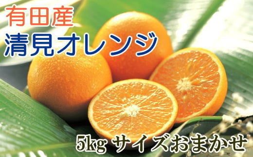 【産直】有田産 清見 オレンジ 5kg（サイズおまかせ・秀品） /果物 くだもの フルーツ 蜜柑 みかん ※2027年3月上旬～3月下旬頃順次発送予定（日付指定不可） 【tec011-r-5】