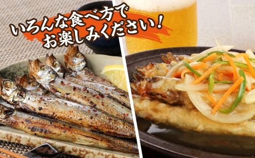 国内加工　醤油ししゃも　4箱セット-[G508]