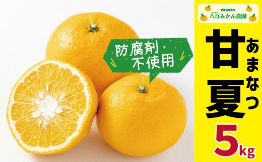【 先行予約 】 完熟 甘夏 5kg <発送期間：4月下旬～無くなり次第終了> 八百みかん農園 の 完熟 甘夏 7000円 家庭用 訳あり 贈答 先行 事前 予約 受付 ギフト みかん あまなつ 夏みかん グレープフルーツ 防腐剤不使用 愛媛 産地直送 国産 農家直送 糖度 果樹園 期間限定 数量限定 特産品 ジュース 人気 限定 愛南 さわやか 甘い フルーツ 果物 柑橘 蜜柑