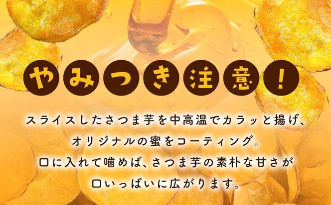 005A723 さのやチップス（プレーン味）140g×2パック 芋匠さのや 人気メニュー