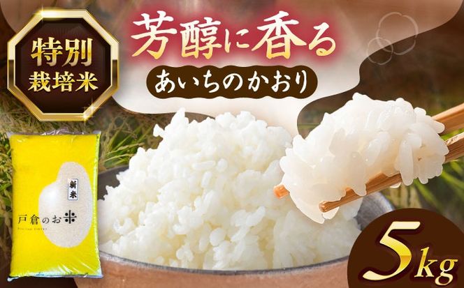 ＼2月発送分／あいちのかおり 白米 5kg / 戸倉トラクター[AECS001-02]
