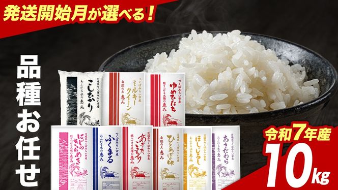 品種おまかせ 10kg 令和7年産米 茨城県つくばみらい市産 精米 こしひかり コシヒカリ あきたこまち ひとめぼれ ふくまる ゆめひたち ミルキークイーン にじのきらめき ほしじるし あきだわら 米 コメ こめ 単一米 限定 茨城県産 国産 美味しい お米 おこめ おコメ