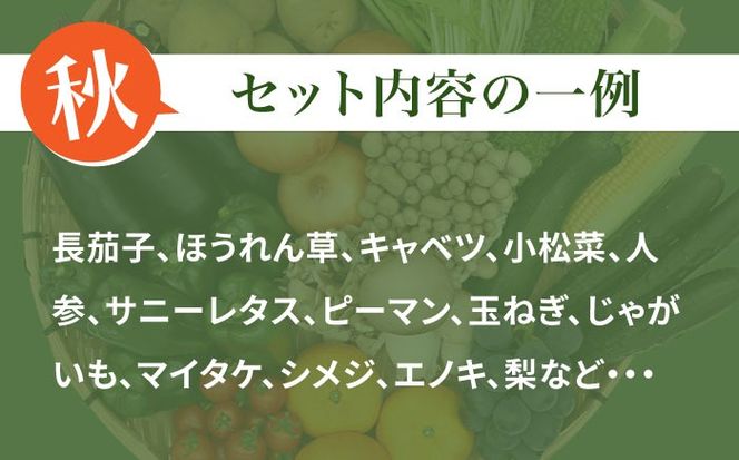 【10回定期便】 豪華！野菜 果物 きのこセット 15品目以上  / 野菜定期便 やさい定期便 フルーツ 果物 キノコ 詰め合わせ / 南島原市 / 吉岡青果[SCZ025]