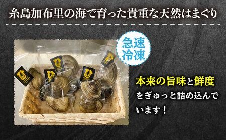 糸島産 天然 はまぐり 10個 (2個×5P) 糸島市 / ひろちゃんカキ 蛤 ハマグリ [AJA017] 貝