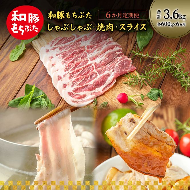 和豚もちぶた 6ヵ月定期便 計3.6kg しゃぶしゃぶ 焼肉 スライス 豚肉