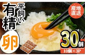 産直・平飼い有精卵 (計30個) 卵 玉子 卵かけご飯 玉子焼き 平飼い 鶏 鶏卵 養鶏場直送 朝採れ 新鮮 大分県 佐伯市 【HM01】【佐伯養鶏場】