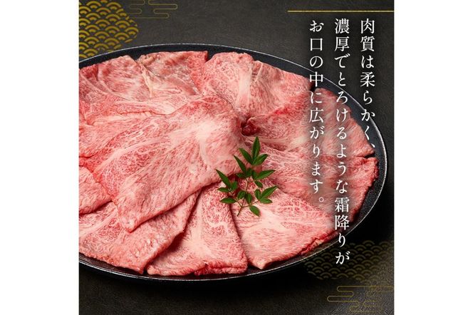 飛騨牛　肩ローススライス（すき焼き・しゃぶしゃぶ用）600g（300g×2）　【0016-111】