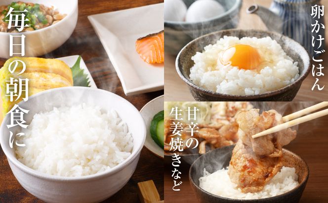 【先行予約】 《令和8年産》 熊本県産 にじのきらめき 6kg (2kg×3袋) 米 お米 精米 白米 ごはん ご飯 おにぎり お弁当 熊本県 八代市 【2026年9月上旬より順次発送】