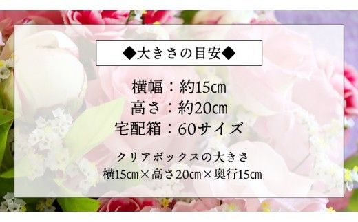 【 母の日 】 赤 ・ ピンク 系 プリザーブド フラワー M ギフト プレゼント 花 お祝い 贈答 記念日 [CT102ci]
