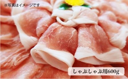 合計4.6kg！糸島豚 食べ尽くし セット ( とんかつ / 肩ロース / しゃぶしゃぶ / 豚バラ / スペアリブ / 小間切れ ) 糸島 / トラヤミートセンター [AJD005] 豚肉 セット スライス しゃぶしゃぶ ロース トンカツ スペアリブ こま切れ