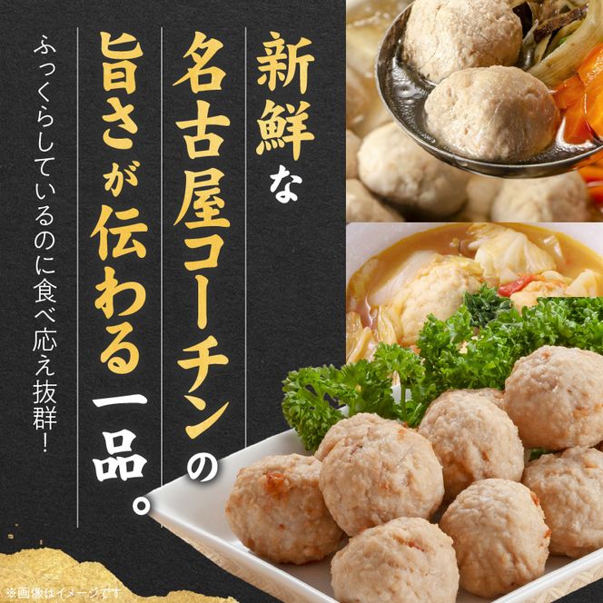 『親どり名古屋コーチン』肉だんご［006K06］名古屋コーチン 地鶏 鶏肉 日本三大地鶏 国産鶏肉 肉団子 鶏団子 鶏肉団子 団子 肉 鶏肉 総菜 つくね 小分け 鍋 スープ お弁当 鶏 コク 旨み 