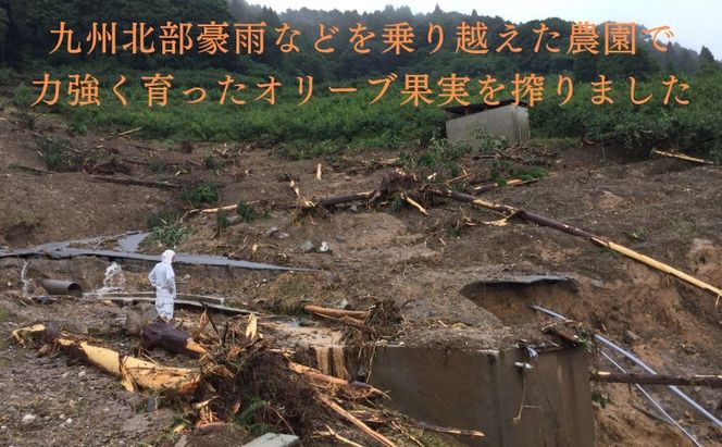 オリーブオイル オリーブ 油 100g×2本 エクストラバージンオリーブオイル オリーブ油 調味料 自家農園産 