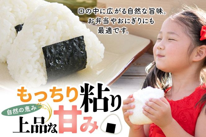 【令和８年産 新米予約】あきたこまち 精米 10kg（5kg×2袋） 秋田県北秋田市産 白米 [米 こめ 令和８年 2026年 新米 秋田県 北秋田市 あきたこまち 白米 美味しい おいしい]|fjne-011001
