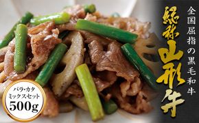 FYN6-172 山形牛【切り落とし】バラ、カタ、ミックスセット（500g）