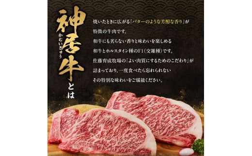 【6回定期便】佐藤さんちの神居牛”満喫セット” 特別な日の食卓に ステーキ ローストビーフ ！BBQにぴったり焼肉用 カルビも！_S013-0012