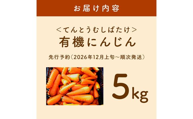 【先行予約（2026年12月上旬～順次発送）】＜てんとうむしばたけ＞有機にんじん5kg　BR00082