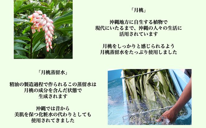 乾燥を防ぐ月光オールインワンローション200ml【無香料＆香り付】2本セット　もっちり　保湿　肌ケア　月桃　低刺激　乾燥肌　敏感肌