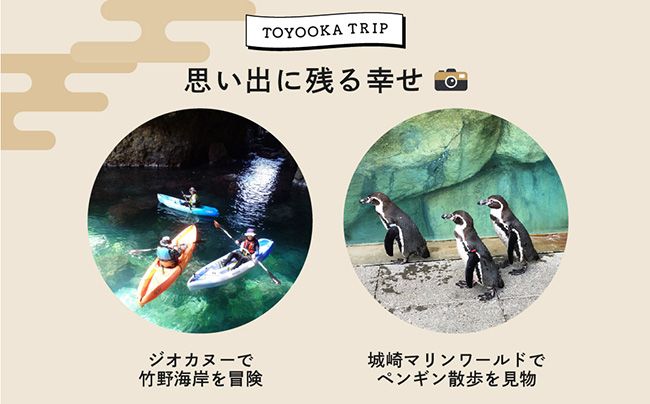 豊岡市旅行クーポン 300,000円分 3年間有効 城崎温泉 出石 竹野 神鍋 など 宿泊施設 飲食店 観光施設 250施設以上で使える旅行券 「豊岡旅幸券」 旅行 宿泊 旅 トラベルの チケット