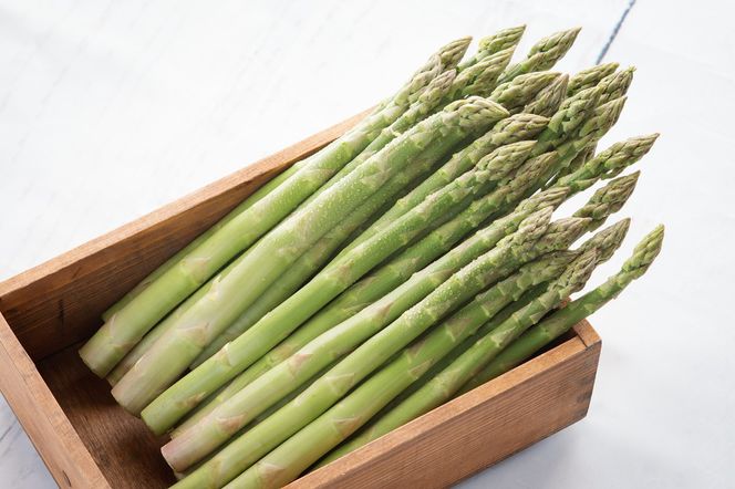 【数量限定】【先行予約】2026年 柔らかくて瑞々しい朝取りグリーンアスパラ(春芽) L 1kg（2026年4月から順次発送） BHRG148