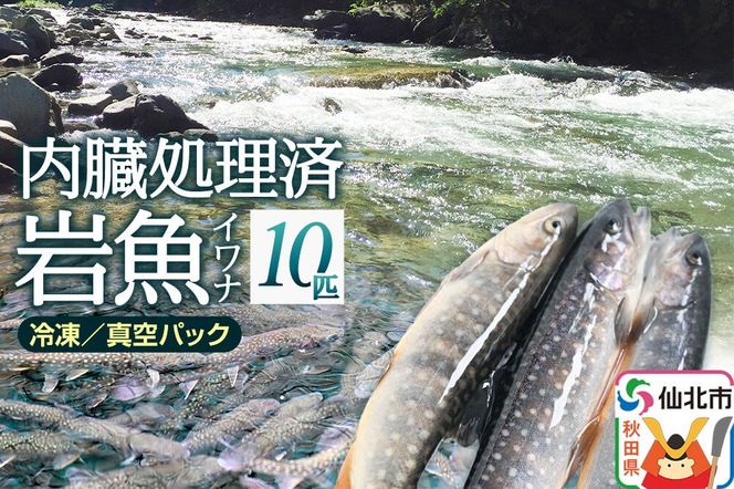 岩魚（イワナ）冷凍 内臓処理済み 10匹 長四郎|02_csr-010201