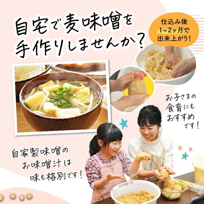 ＜選べる＞「かねよ みそ しょうゆ」麦味噌手作りキット 3kg or 1kg　K058-004_SKU