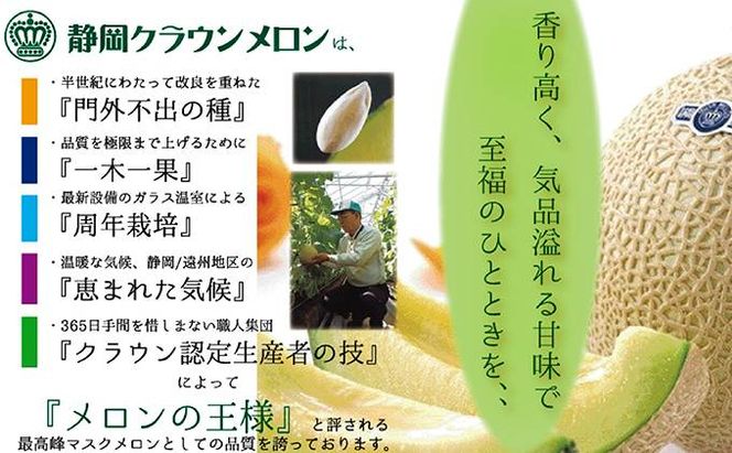 【12ヶ月定期便】クラウンメロン（白等級）特大玉　1玉入 