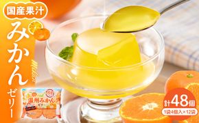 みかんゼリー 1袋4個入×12袋 和歌山産業提供 山形県 東根市 hi070-005