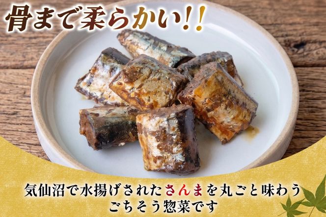 気仙沼産 さんま甘露煮 セット 100g 3パック [仙都食品販売 宮城県 気仙沼市 20566169] 魚 魚介 さんま サンマ 秋刀魚 甘露煮 煮魚 小分け 個包装 お弁当 惣菜 おかず お惣菜 常温