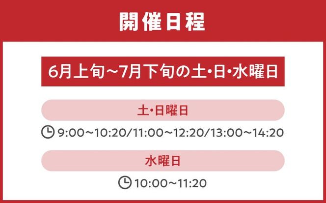 ブルーベリー狩り チケット 大人1人分 80分間食べ放題 ブルベリー 体験 チケット 愛西市 / あいさいベリーLABO[AEBZ007]