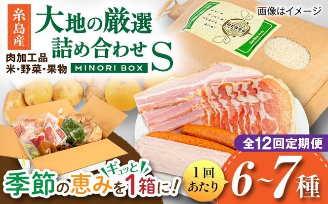 【全12回定期便】糸島産 肉 米 野菜 果物 厳選詰め合わせ MINORI BOX Sサイズ 糸島市 / emma.Inc / 米 肉 野菜 果物 詰め合わせ[AOP010]