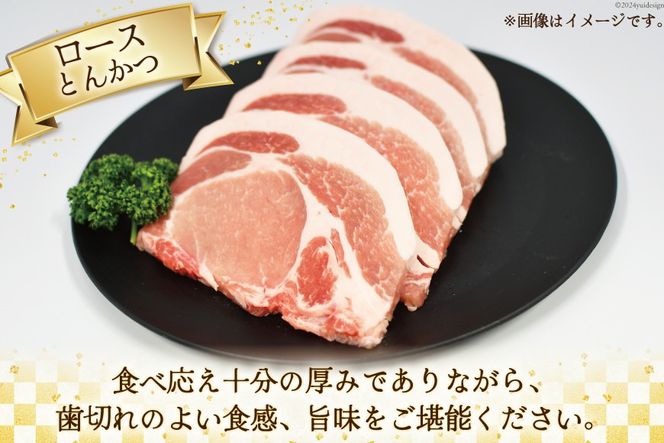 肉 豚肉 宮崎県産豚肉4種セット 詰め合わせ 2kg [日本ハムマーケティング 宮崎県 日向市 452060687] 冷凍 小分け 個包装 セット とんかつ しゃぶしゃぶ 焼き肉 細切れ 焼肉