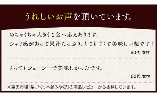芳醇な味と香り 『 にっこり 』 5kg ( 自家用 ) 2026年産 先行予約 フルーツ 果物 国産 日本産 梨 ナシ なし 和梨 [DJ004ci]