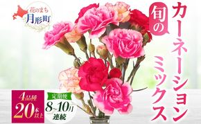 ＜2026年8月～10月まで3ヵ月連続お届け＞北海道 カーネーション ミックス 4品種 20本以上 花 花束 切花 ブーケ 旬 季節 生花 フラワー アレンジメント 