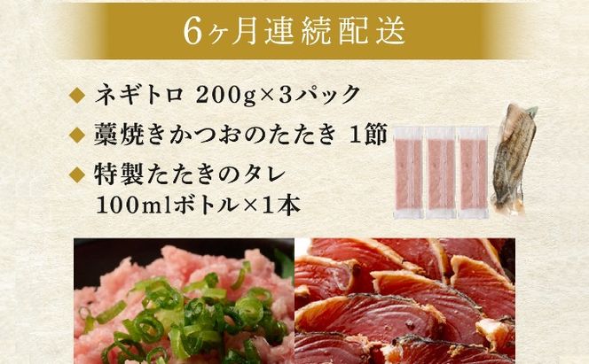 【定期便 / ６ヶ月連続】 土佐流藁焼きかつおのたたき１節と高豊丸ネギトロ６００ｇセット 魚介類 海産物 カツオ 鰹 わら焼き 高知 コロナ 緊急支援品 海鮮 冷凍 家庭用 訳あり 不揃い 規格外 連続 ６回 小分け 個包装 まぐろ マグロ 鮪 お手軽 藁 藁焼き かつお 室戸のたたき tk068