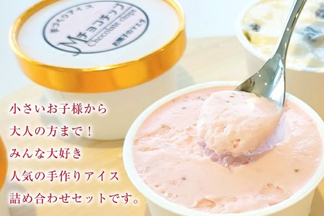 アイス 人気の手作りアイス6種 & シャーベット 2種 計8個 [マエダ製菓 宮崎県 日向市 452060804] シャーベット アイスクリーム バニラ チョコチップ チョコマーブル ラムレーズン ストロベリー 抹茶 へべす 日向夏