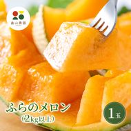 【2026夏発送】ふらのメロン 1玉 (2kg以上) 北海道 富良野産 メロン めろん 夏 果物 フルーツ ふらの 甘い 糖度 (畠山農園)