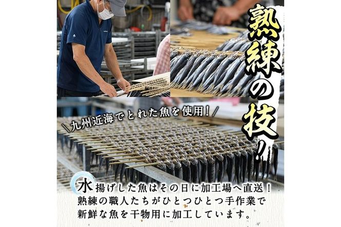 厳選ひもの セット (7種) 簡単 調理 干物 あじ 真あじ あじみりん かます さば 真さば ちりめん ちりめんじゃこ イカ タイ みりん干し 丸干し 一夜干し 開き 魚 海鮮 冷凍 詰め合わせ【DF03】【(株)神力水産】