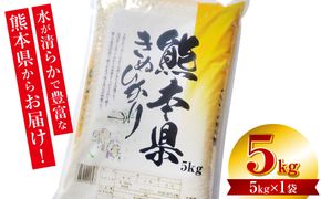 【令和7年産】 熊本県産 きぬひかり 5kg（5kg×1袋） 米 お米 精米 白米 ごはん ご飯 熊本