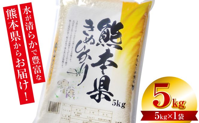 【令和7年産】 熊本県産 きぬひかり 5kg（5kg×1袋） 米 お米 精米 白米 ごはん ご飯 熊本