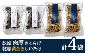 乾燥 肉厚 国産 きくらげ ＋ 乾燥 黄金色 しいたけ 各2袋セット 糸島市 / きのこファーム [AFC006]