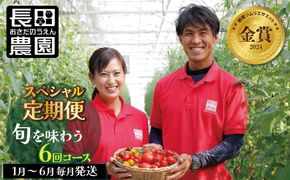 金賞受賞 大好評 1月〜6月毎月発送 6か月楽しめる 長田農園 旬 スペシャル 定期便 6回 ジュエリートマト トマトベリー さくらんぼトマト フルーツトマト ミニトマト トマトジュース にんじん 新たまねぎ セット 野菜 新鮮 産地直送 愛知県 碧南市 送料無料 H004-166