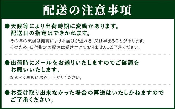 【先行予約 2025年発送】＼ぶどう3種食べくらべ定期便／ 3回発送 冷蔵 高級 種無し 種なし シャインマスカット ブドウ ぶどう 品種 果物 フルーツ 巨峰 美味しい 希少 人気 福島県 田村市 鈴木農園 N000-007