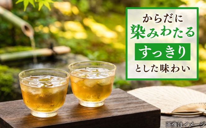 【全12回定期便】八女 玉露入り 緑茶 500ml × 24本 糸島市 / スターナイン お茶 ペットボトル [ARM017] お茶 ペットボトル 500ml 24本 送料無料 緑茶 国産 常温